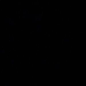 Meet your Posher, Nikola